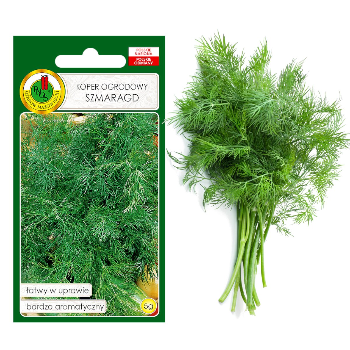 KOPER OGRODOWY SZMARAGD WCZESNY SUSZ NASIONA BEZ GMO