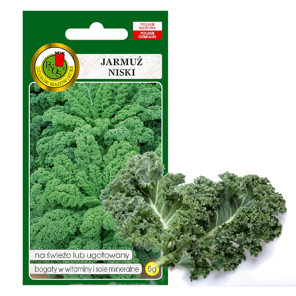 JARMUŻ NISKI DWARF GREEN CURLED NASIONA BEZ GMO