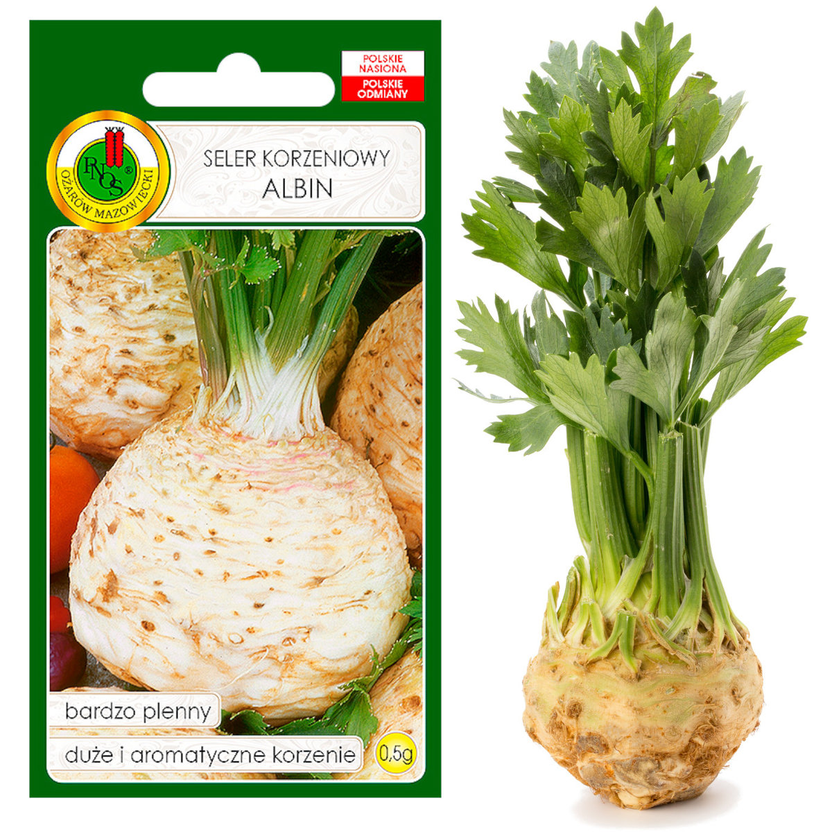 Seler Korzeniowy Albin 0,5G Plenny Nasiona Bez Gmo