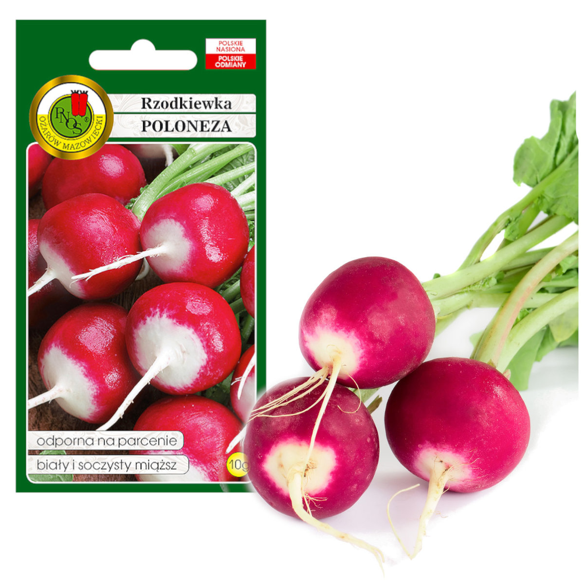 RZODKIEWKA POLONEZA SOCZYSTA 10g NASIONA BEZ GMO