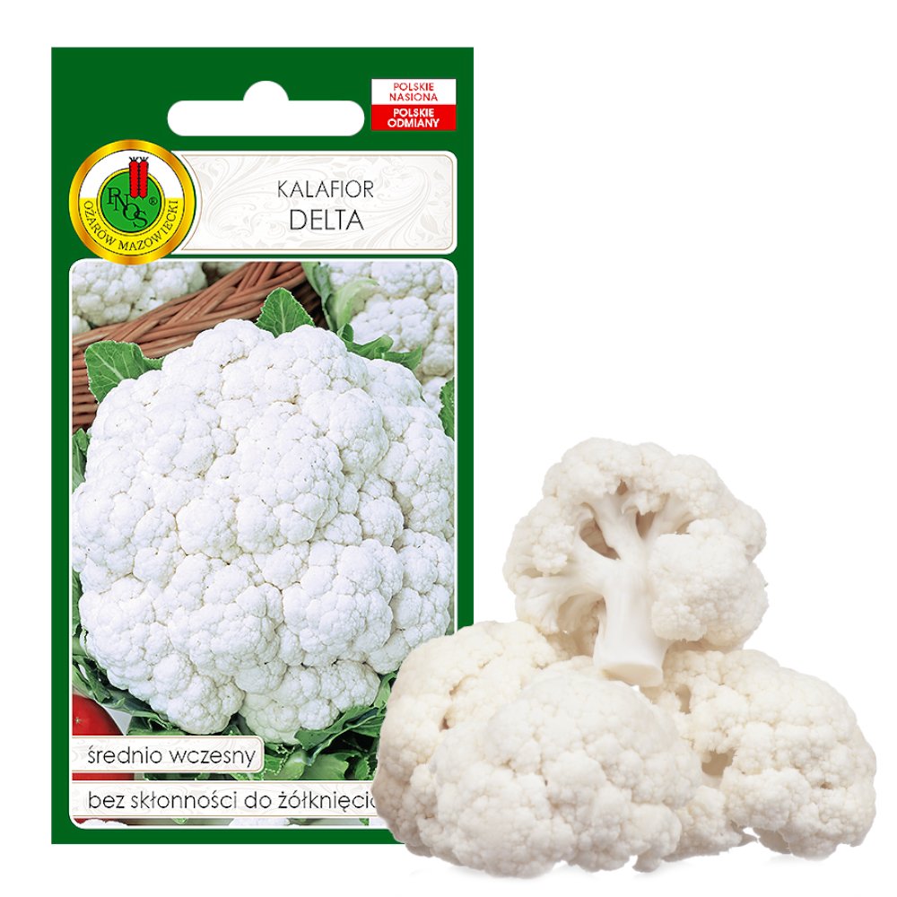 Kalafior Delta Średnio Wczesny Nasiona Bez Gmo