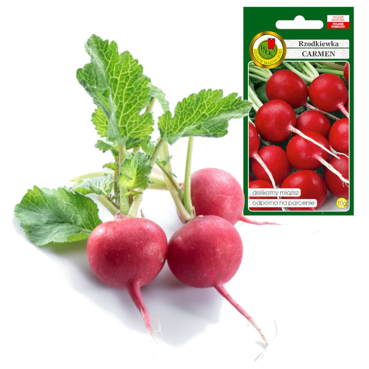 RZODKIEWKA CARMEN CAŁOROCZNA ŁAGODNA NASIONA BEZ GMO