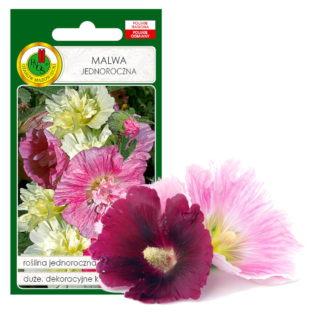 Malwa Jednoroczna Mieszanka Kwiat Nasiona