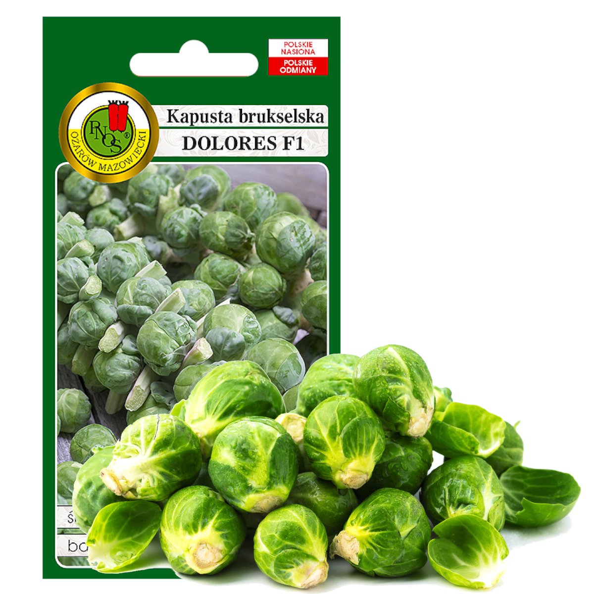 KAPUSTA BRUKSELSKA DOLORES ODPORNA NASIONA BEZ GMO