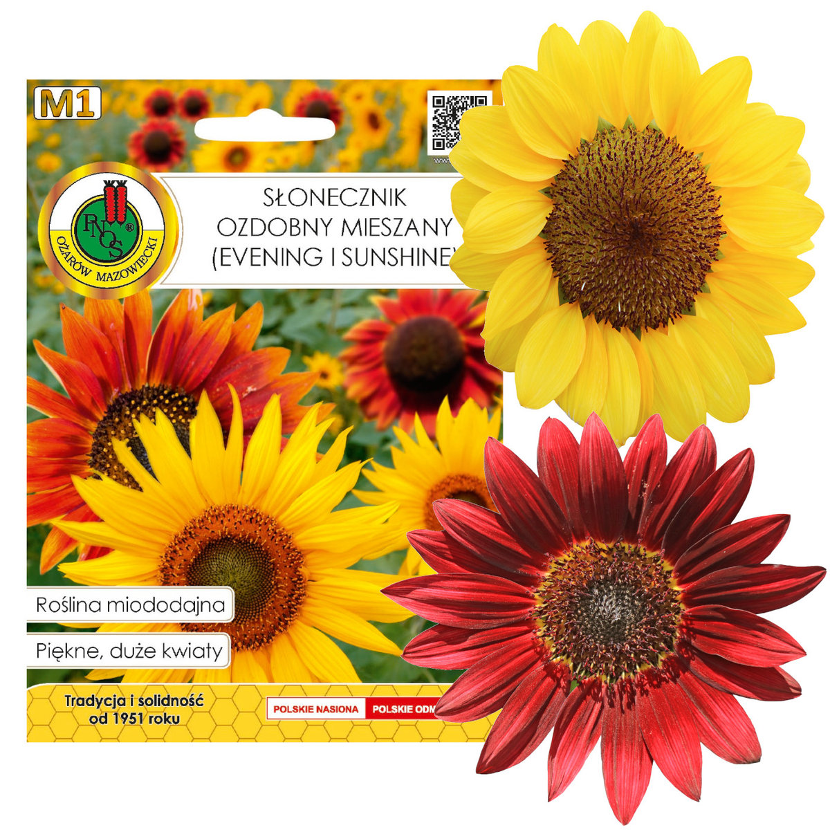 Nasiona słonecznik ozdobny mieszanka 1 5 g