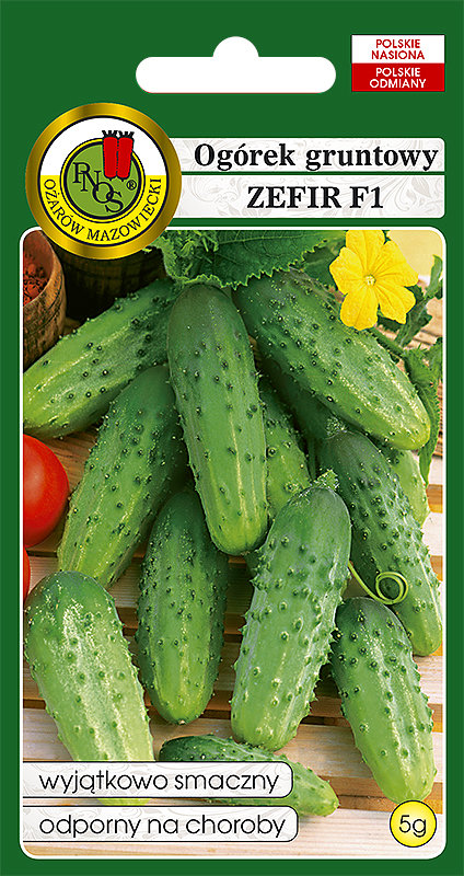 OGÓREK GRUNTOWY ZEFIR WCZESNY SMACZNY NASIONA BEZ GMO