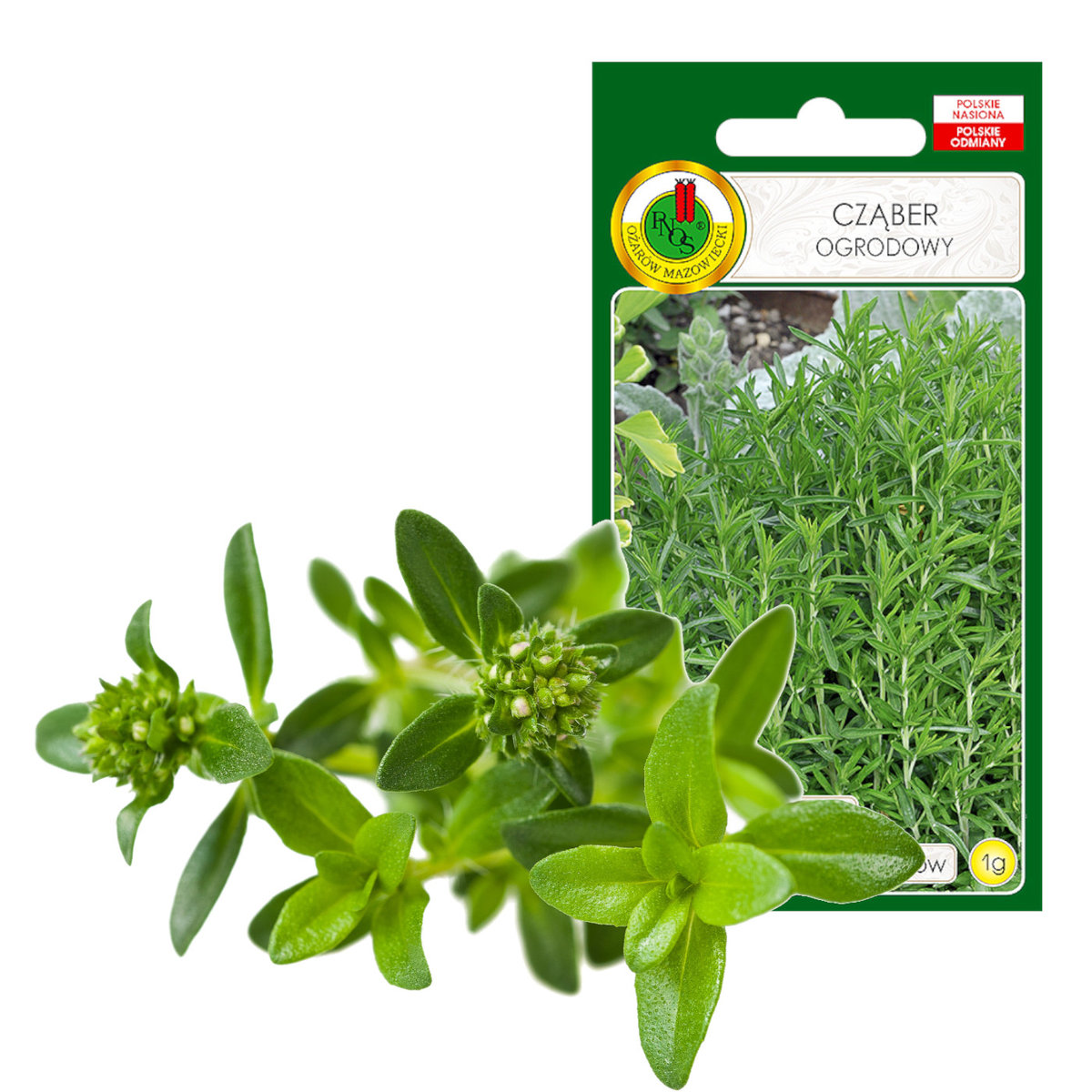 CZĄBER ZIOŁO PRZYPRAWA NASIONA ZIÓŁ BEZ GMO