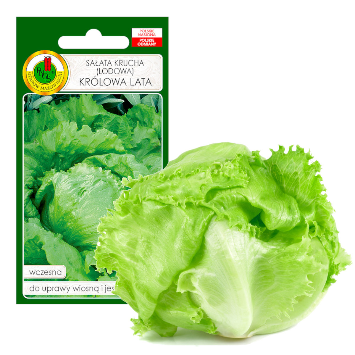 Sałata Lodowa Krucha Królowa Lata Nasiona Bez Gmo