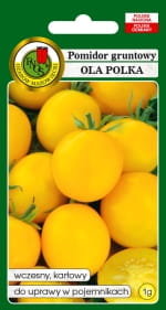 Pomidor Ola Polka Karłowy Żółty Nasiona Bez Gmo