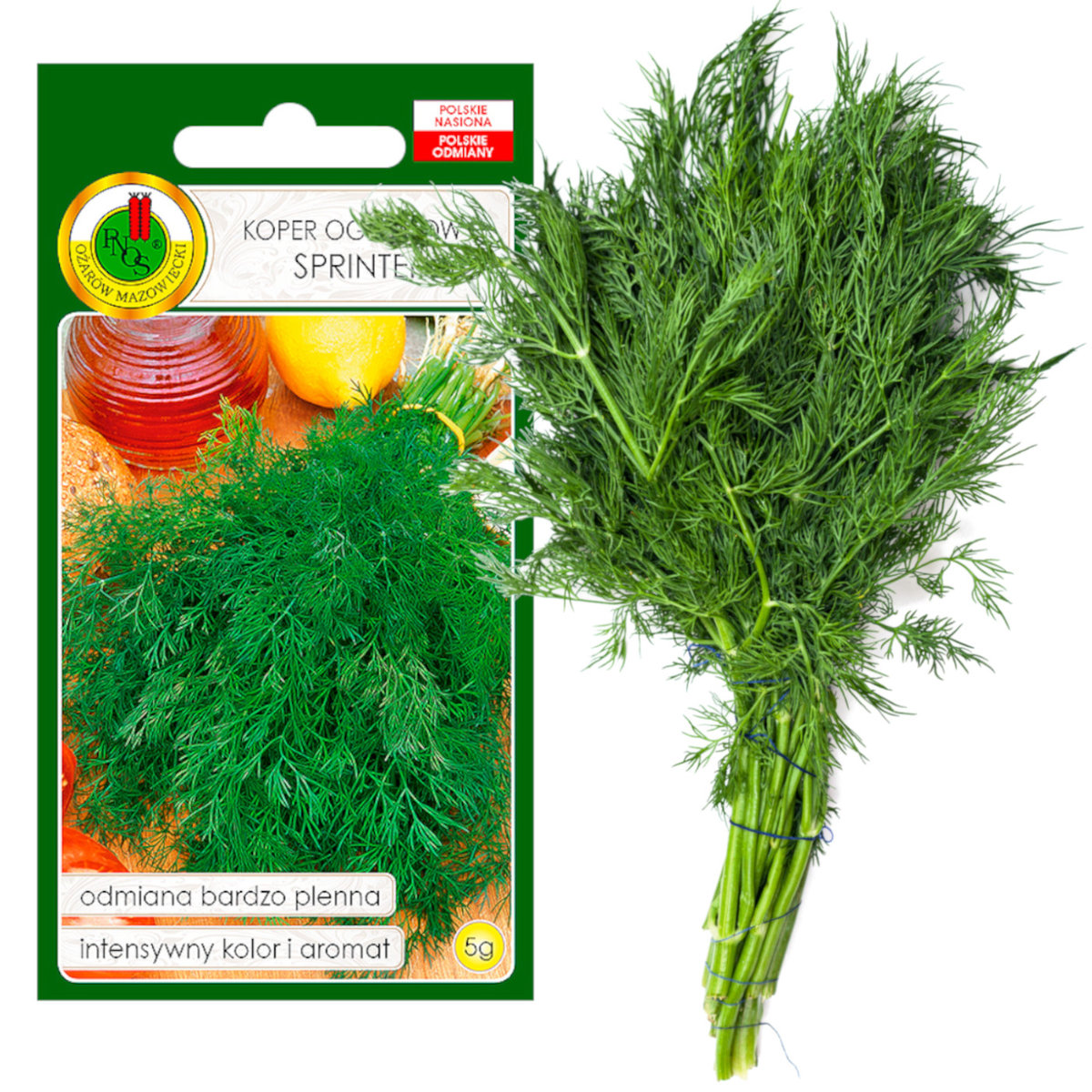 Pnos Koper Sprinter 5g