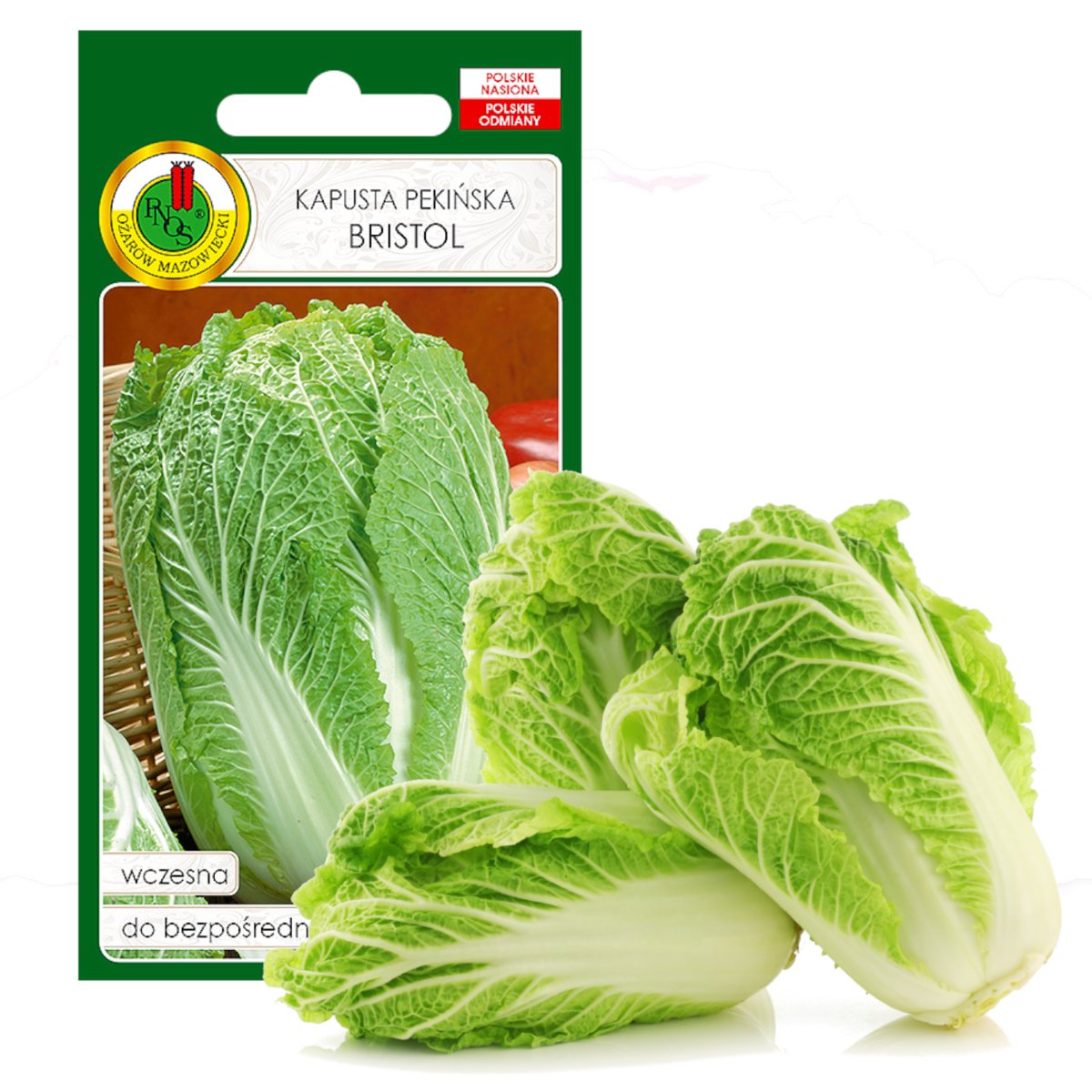 KAPUSTA PEKIŃSKA BRISTOL WCZESNA NASIONA BEZ GMO