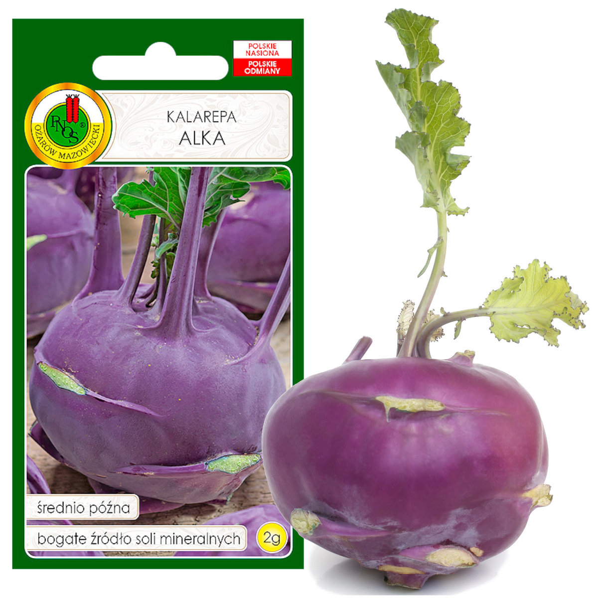 Kalarepa Alka Średnio Późna Fiolet Nasiona Bez Gmo