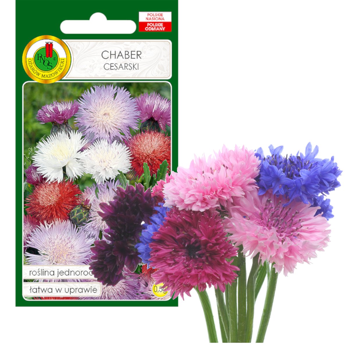 CHABER CESARSKI MIESZANY DUŻY KWIAT NASIONA