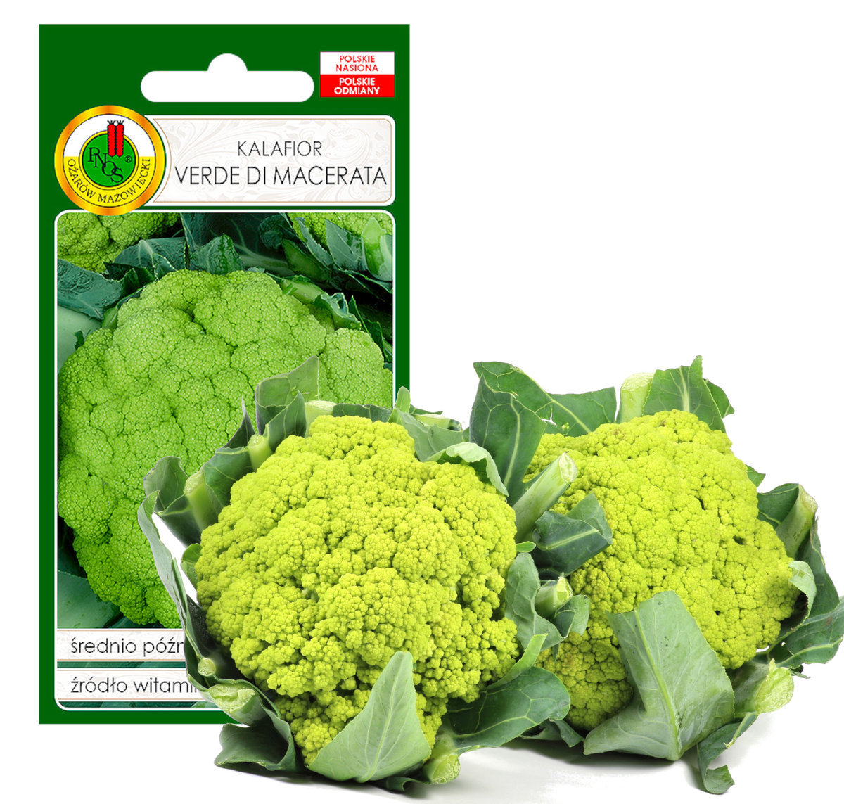 KALAFIOR VERDE DI MACERATA NASIONA BEZ GMO