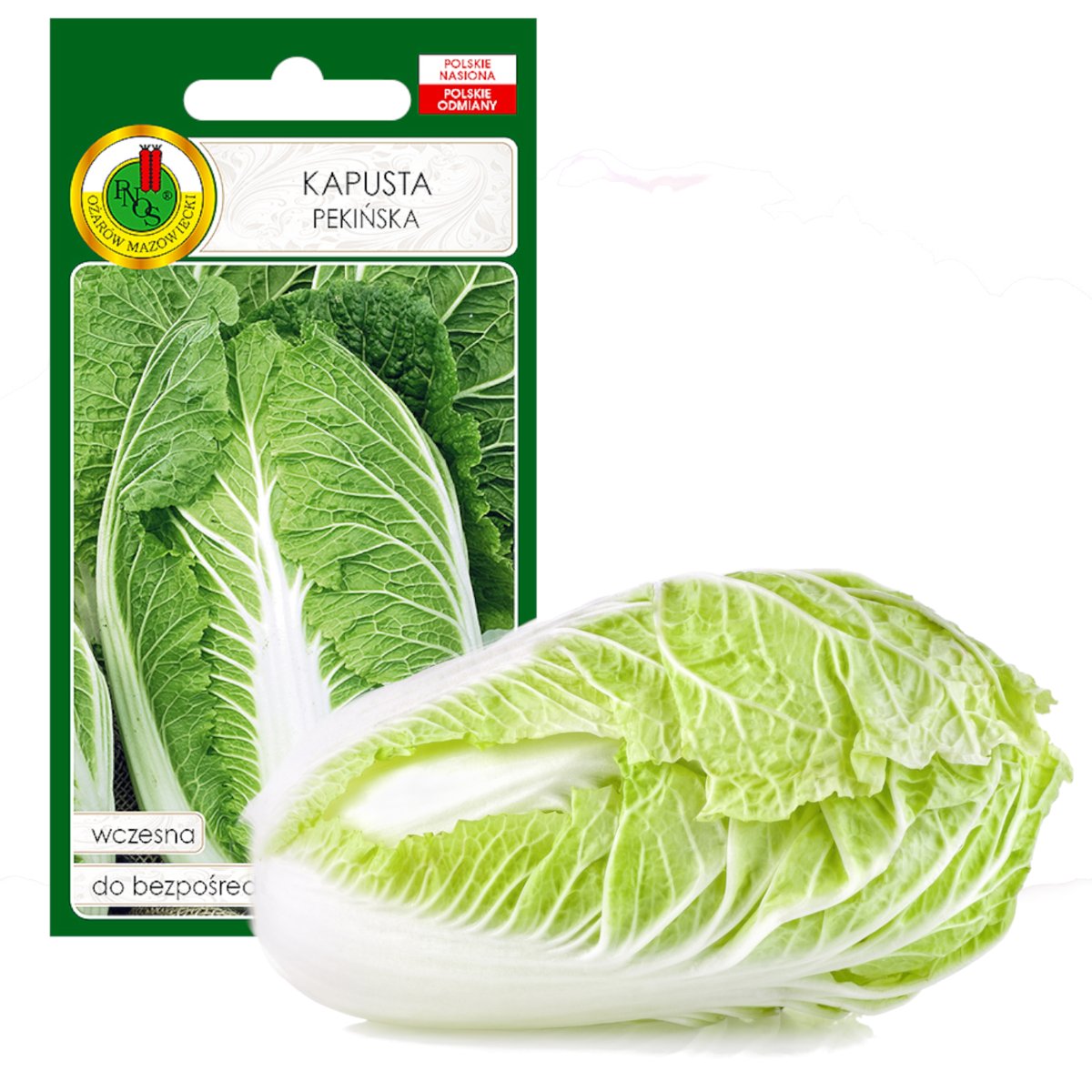 KAPUSTA PEKIŃSKA CAPITOL WCZESNA NASIONA BEZ GMO