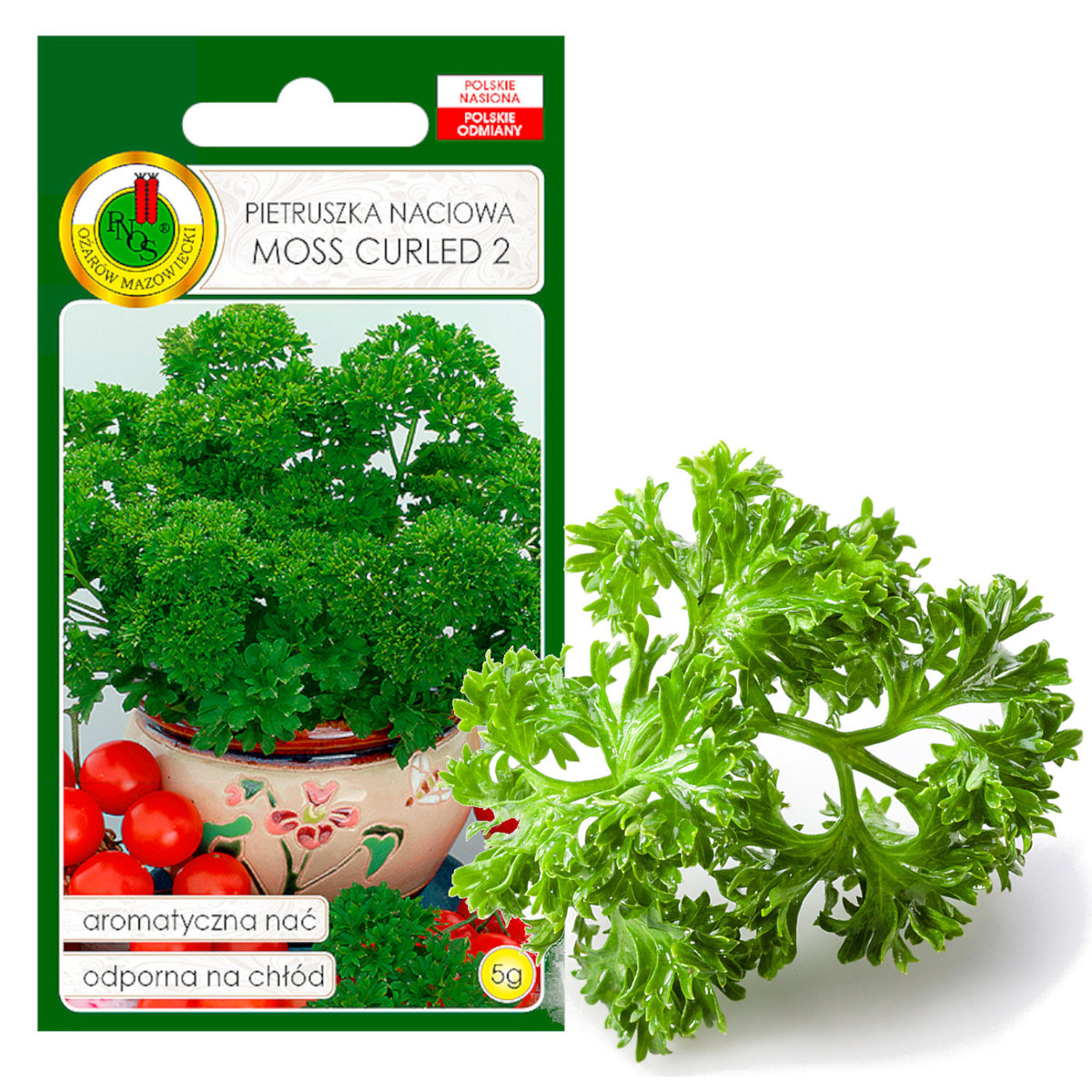Pietruszka Naciowa Moss Curled 5G Nasiona Bez Gmo
