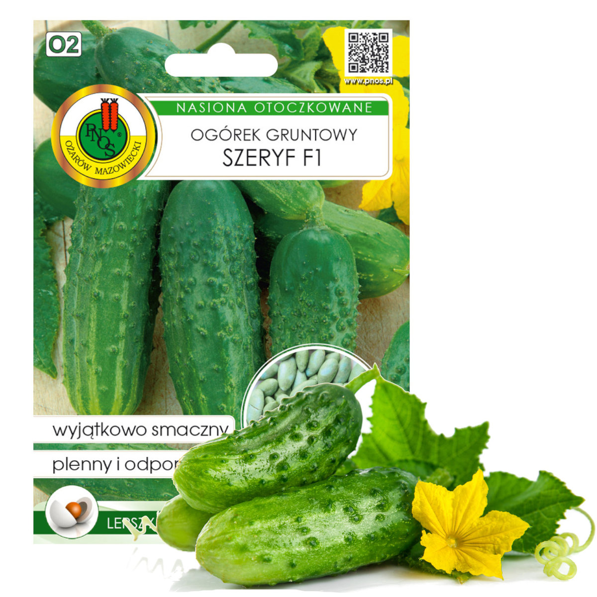 Ogórek 'SZERYF' F1 odmiana średnio wczesna Świeże Nasiona Naturalne 50 nasion