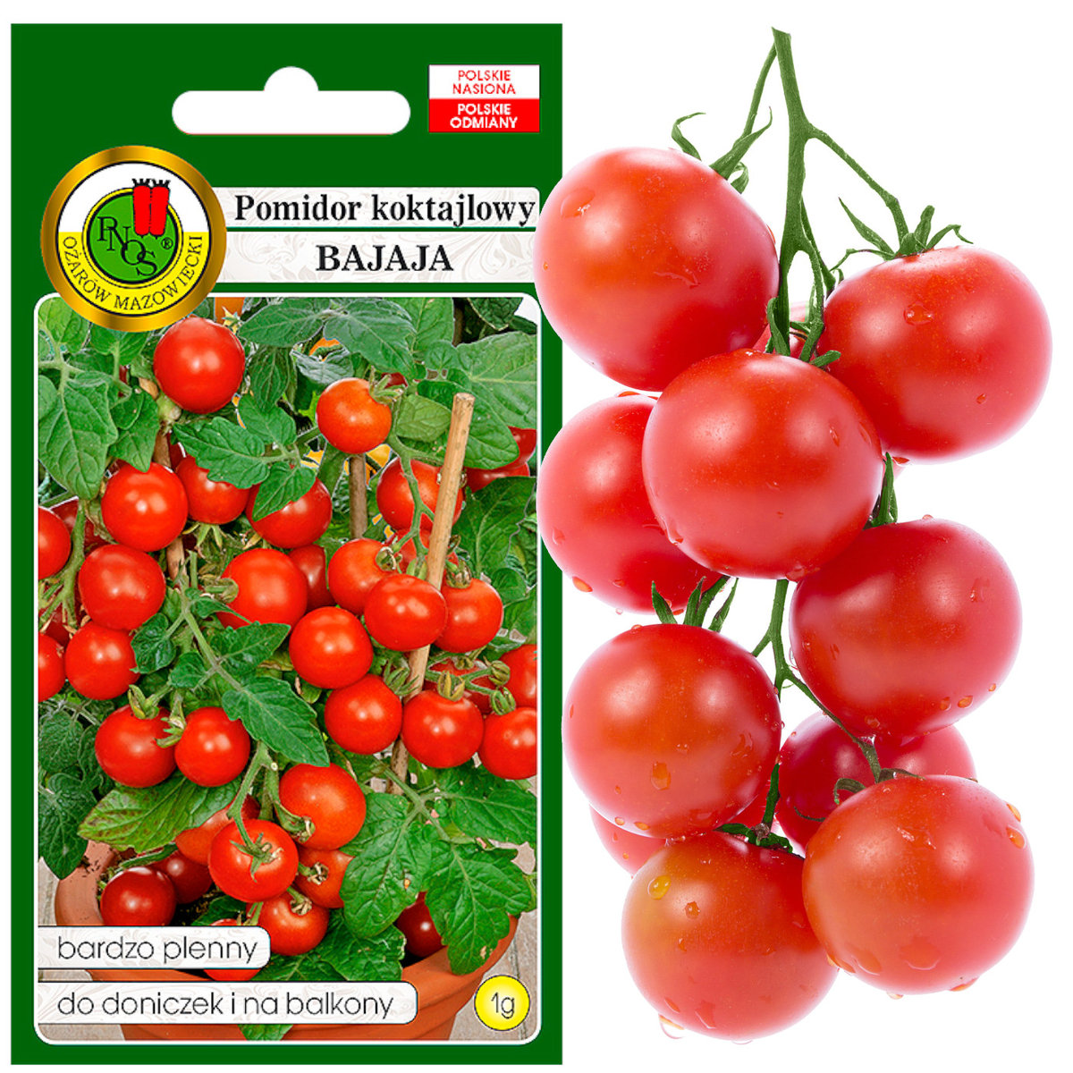 Pomidor Koktajlowy Bajaja Plenny Nasiona Bez Gmo