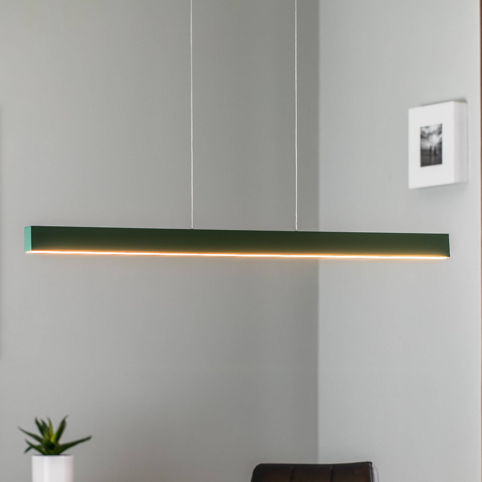 Argon Żyrandol LED Broll, zielony