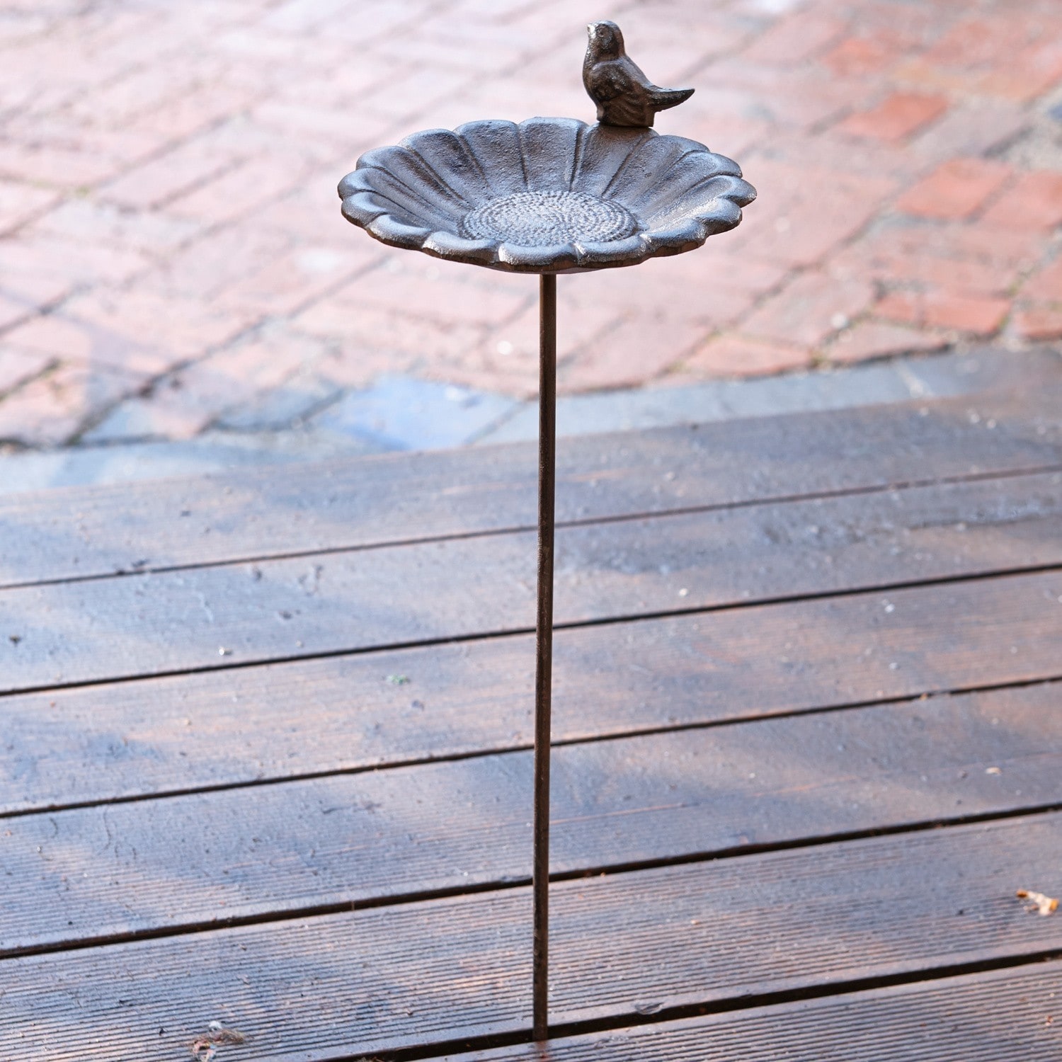 Poidło dla ptaków Finch