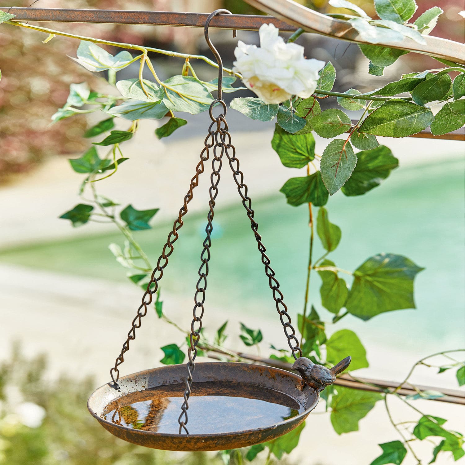 Poidło dla ptaków Britta