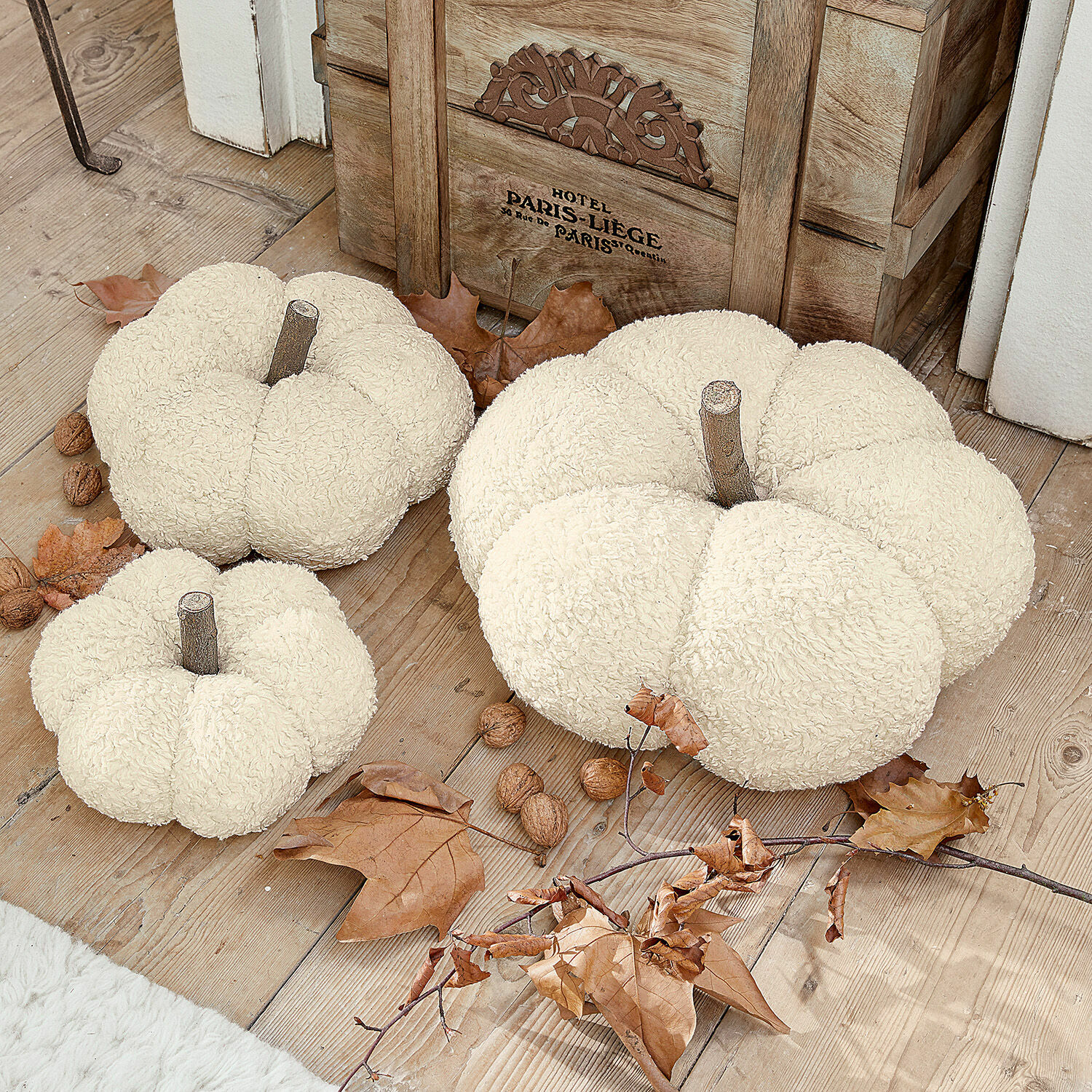 Dynia, zestaw 3 szt. Benjamin