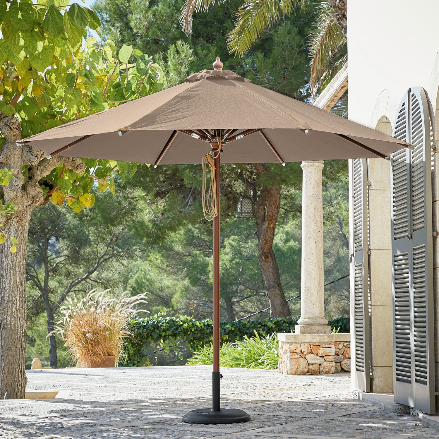 Parasol Brent