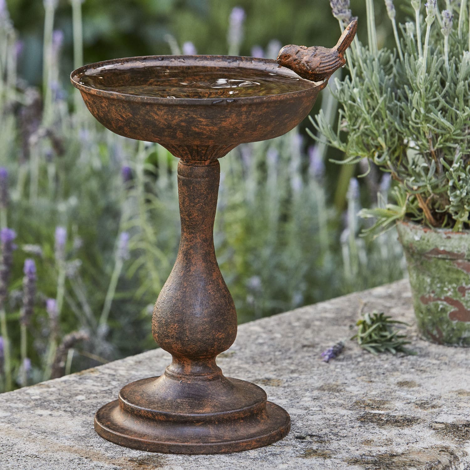 Poidło dla ptaków Bastiane