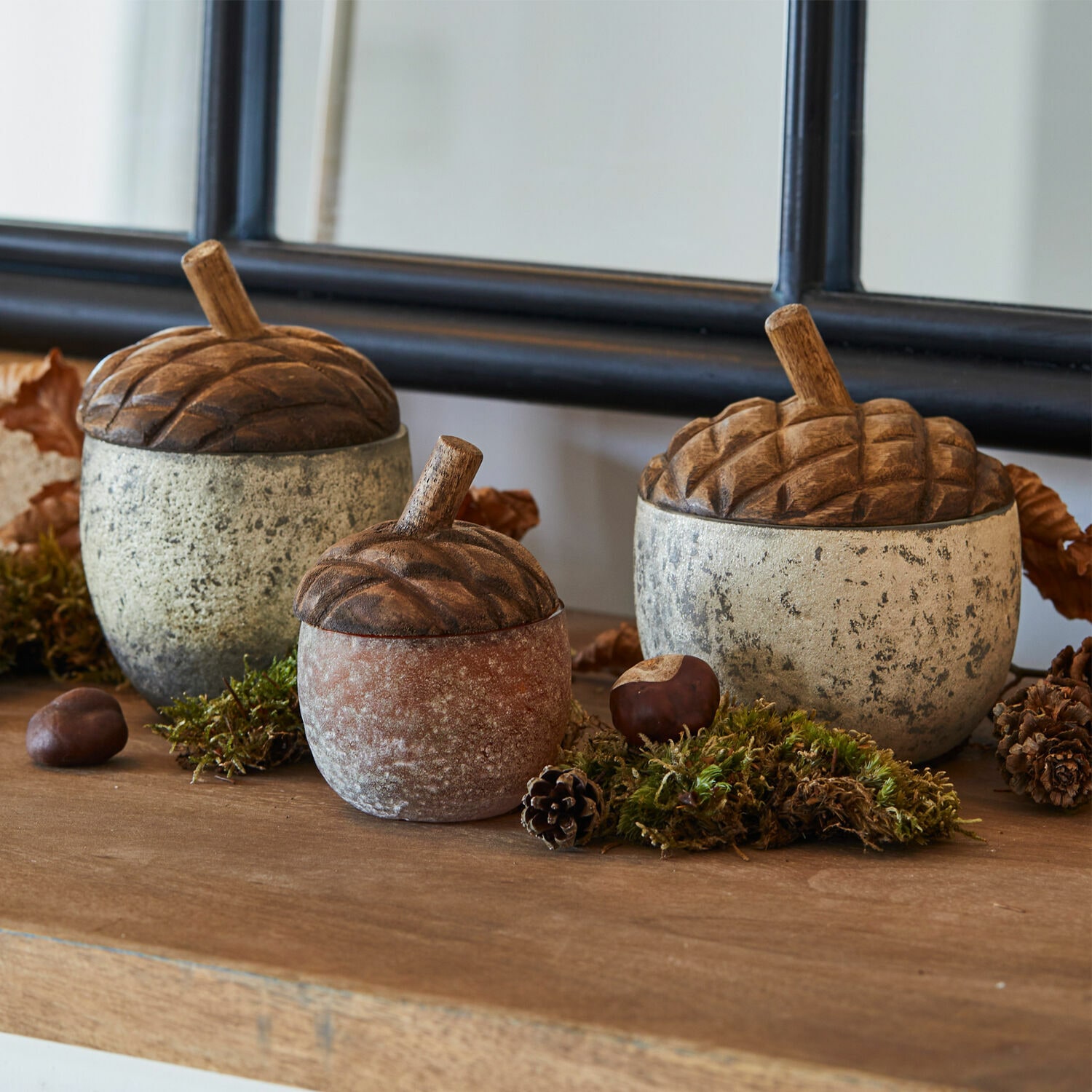 Żołądź, zestaw 3 szt. Vibius