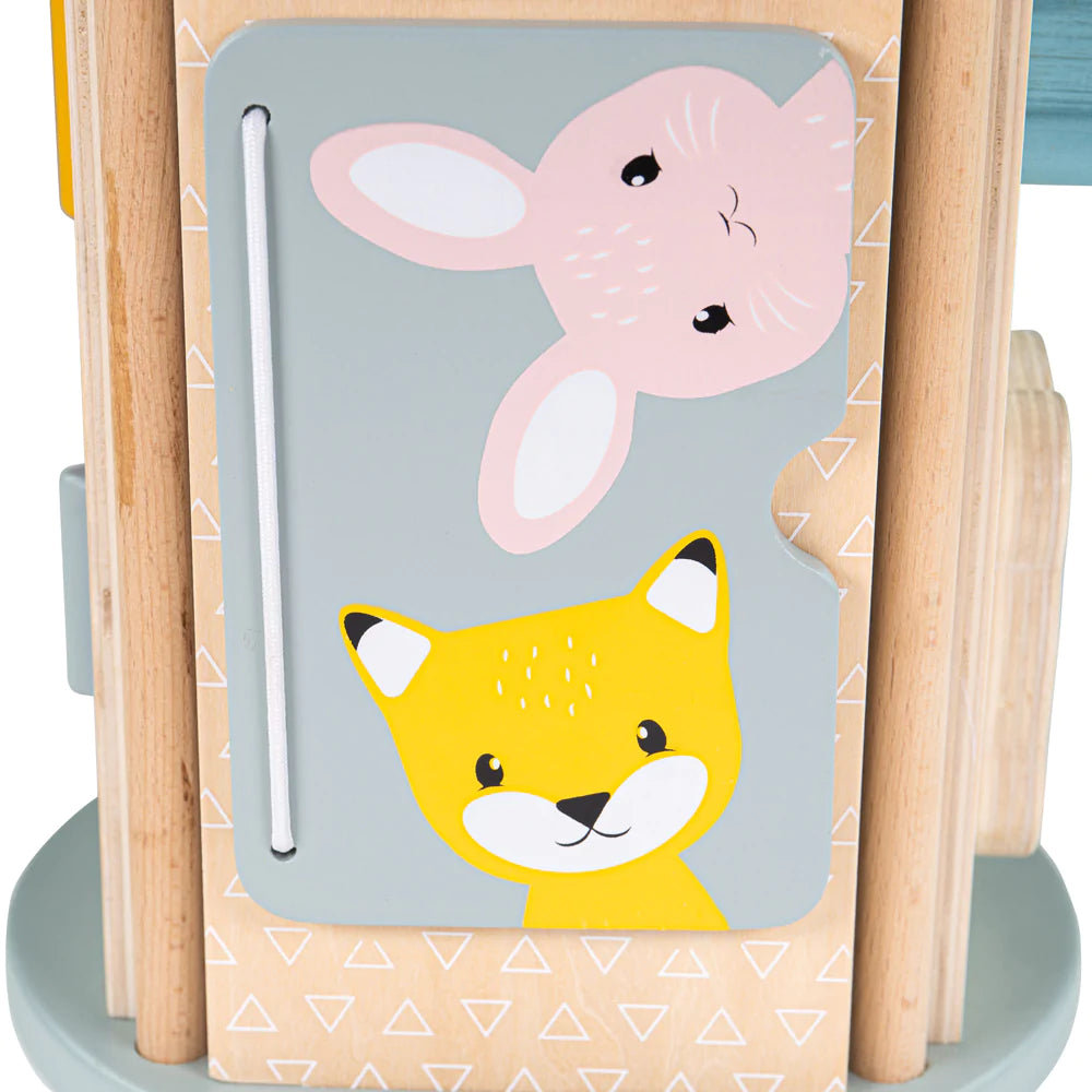 Bigjigs Toys Drewniany Sorter Dla Dzieci