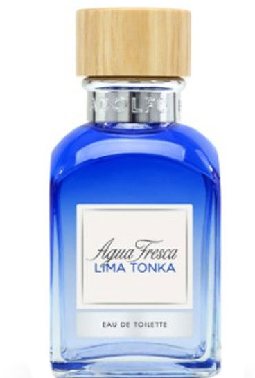 Woda toaletowa dla mężczyzn Adolfo Dominguez Agua Fresca Lima Tonka Eau De Toilette Spray 120 ml (8410190626362)