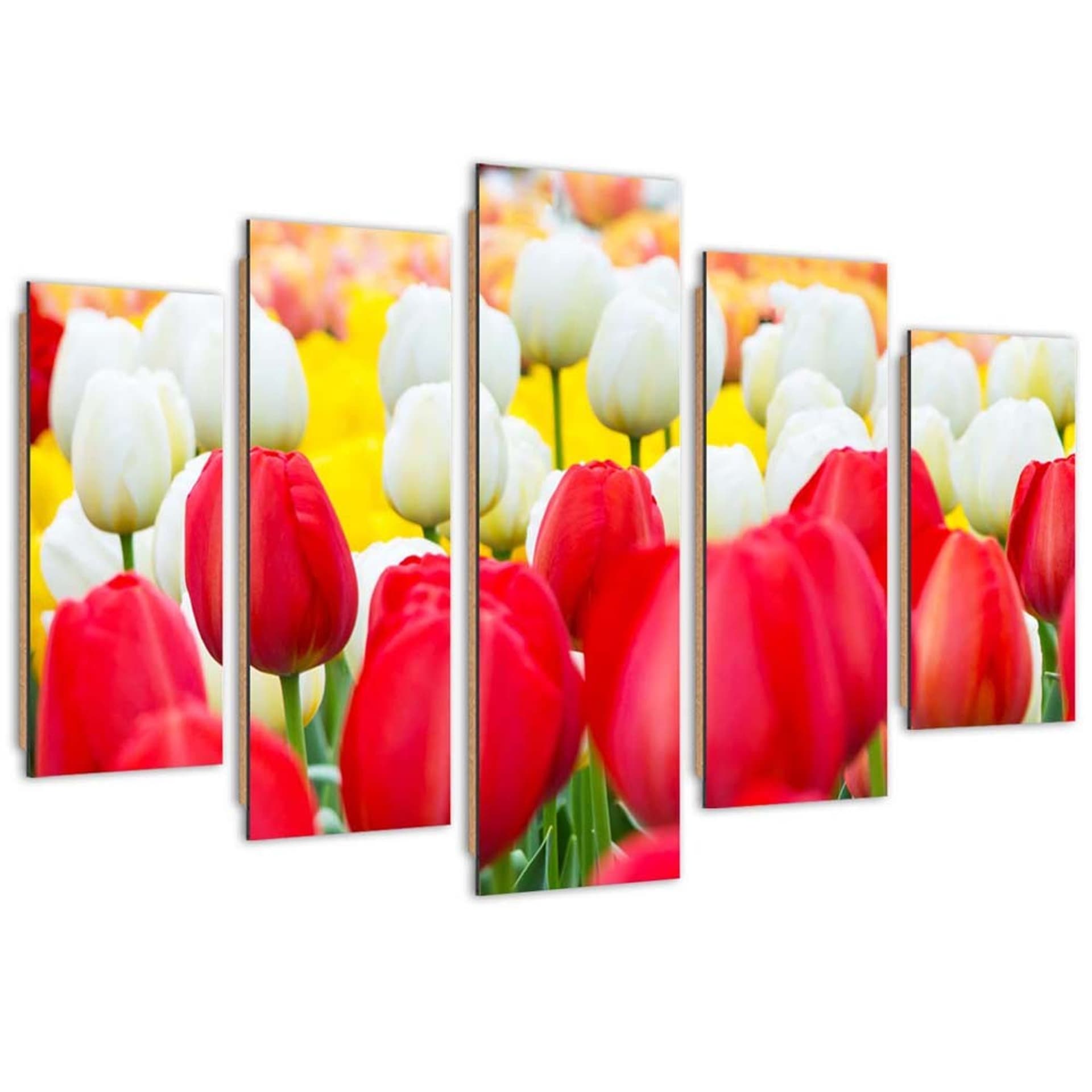 Obraz pięcioczęściowy Deco Panel, Białe i czerwone tulipany (Rozmiar 100x70)