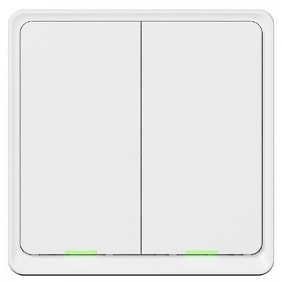 Tesla SMART przełącznik inteligentny Switch Dual Battery