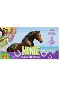Domino obrazkowe. Konie