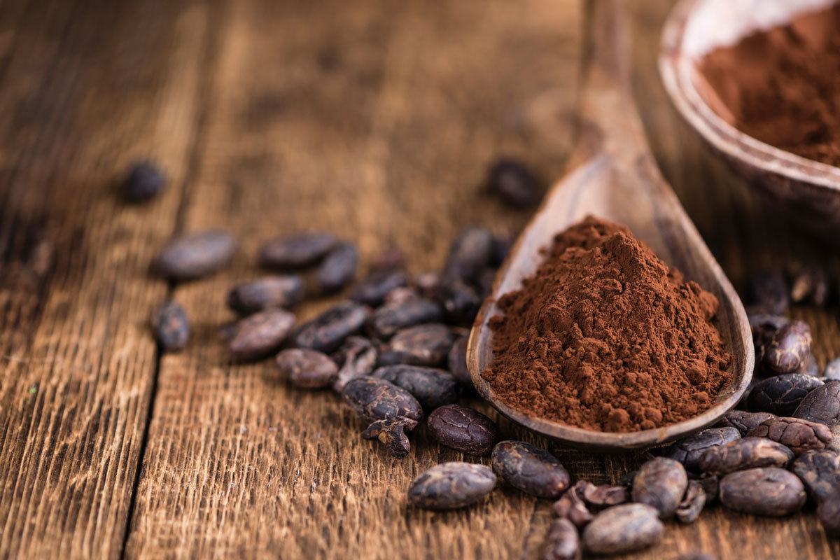 kakao 2,5kg Alkalized Cocoa powder 20-22% Batavia