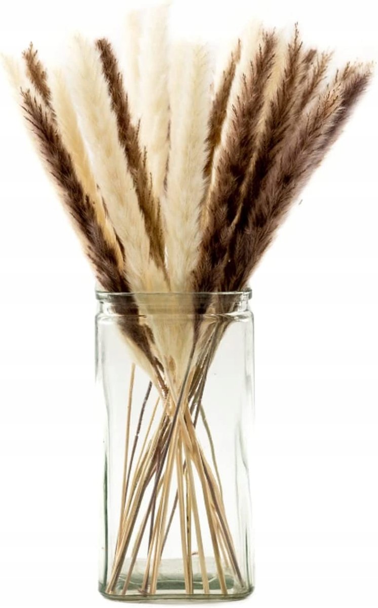 Trawa Pampasowa Bukiet Biała Brąz Slim 30Szt Boho