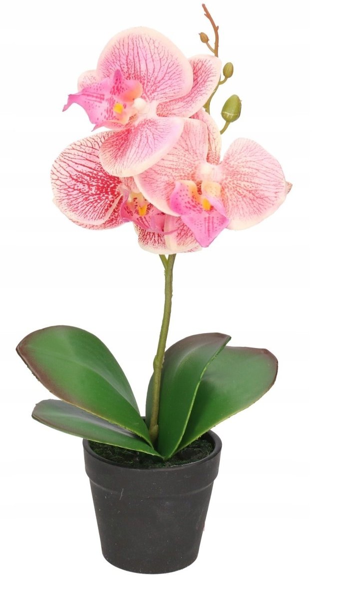 Storczyk Orchidea Sztuczne Kwiaty W Doniczce