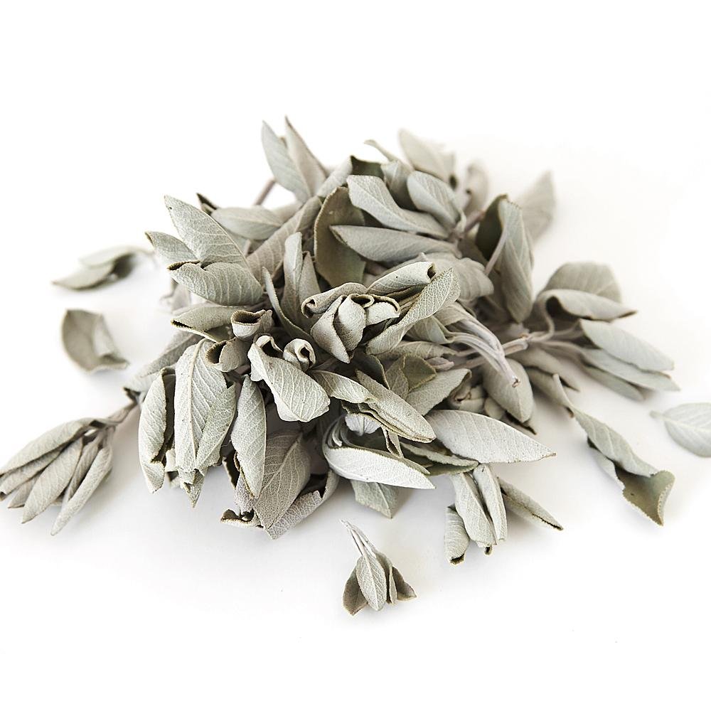 Biała Szałwia (Susz 100G) Kadzidło Oczyszczające (White Sage / Salvia Apiana)