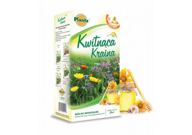 ŁĄKA KWIATOWA ROŚLINY MIODODAJNE WABIĄCE PSZCZOŁY