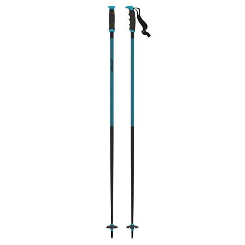 ATOMIC Unisex Adult Redster X Alpine Poles, Teal Blue, 115