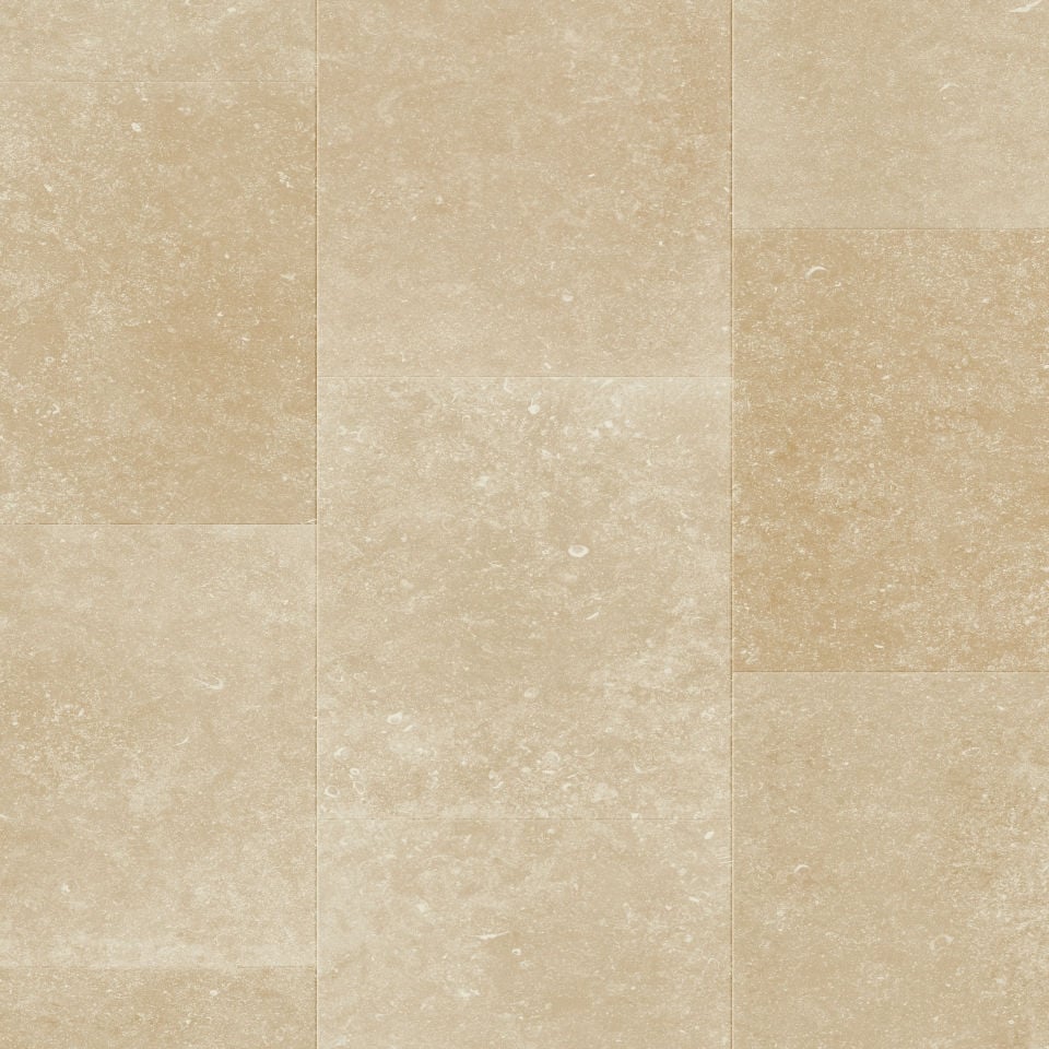 Kamien Wapienny Muse Mus5486