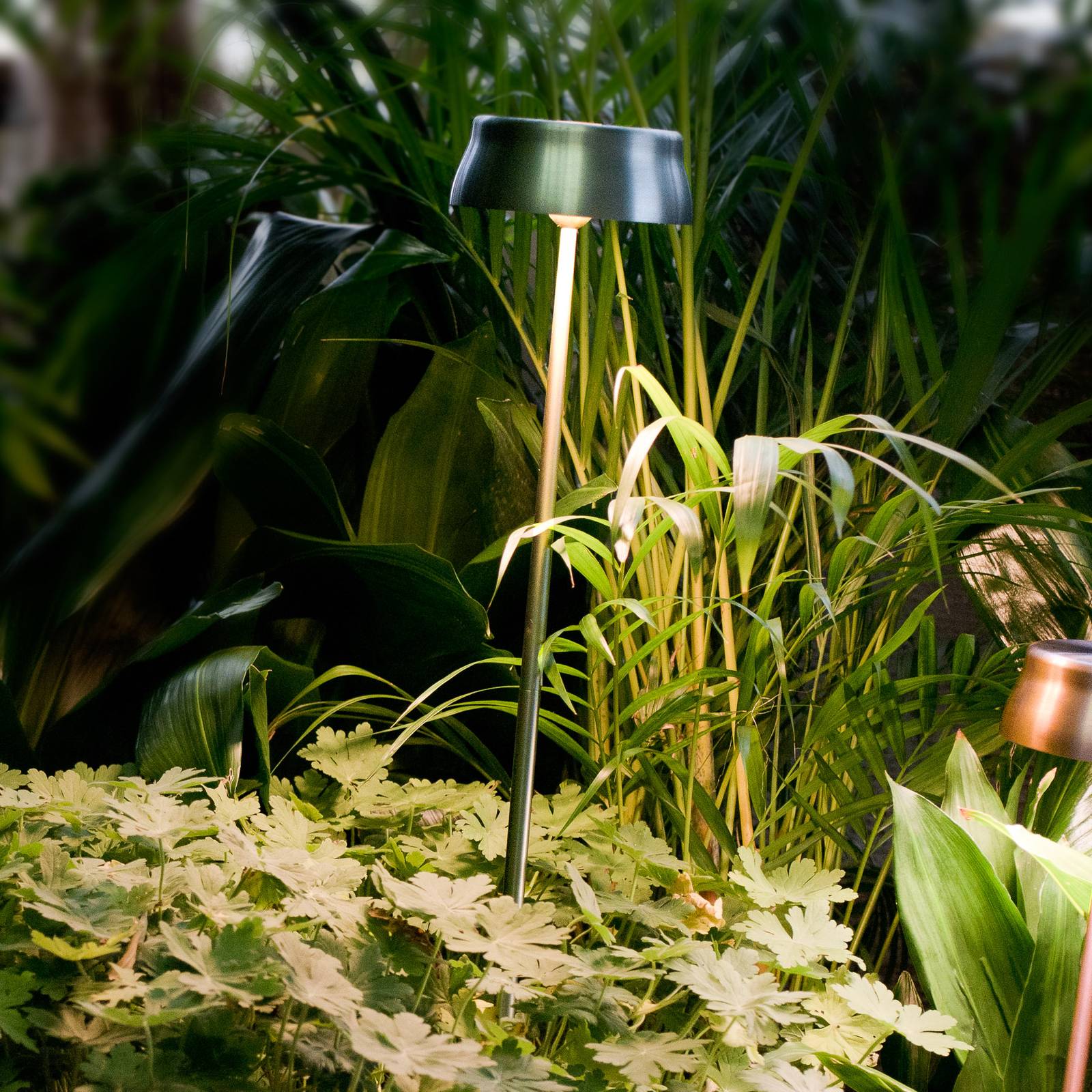 Zafferano Sister Light lampa grot ziemny zielona
