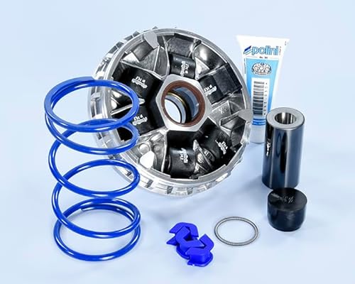 WARIATOR HI-SpeED SYM 300 EURO 5