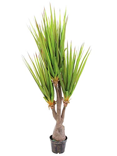 Europalms Euro Palms 82600030 zębów Agave pilarka szablowa, 185 cm 82600030