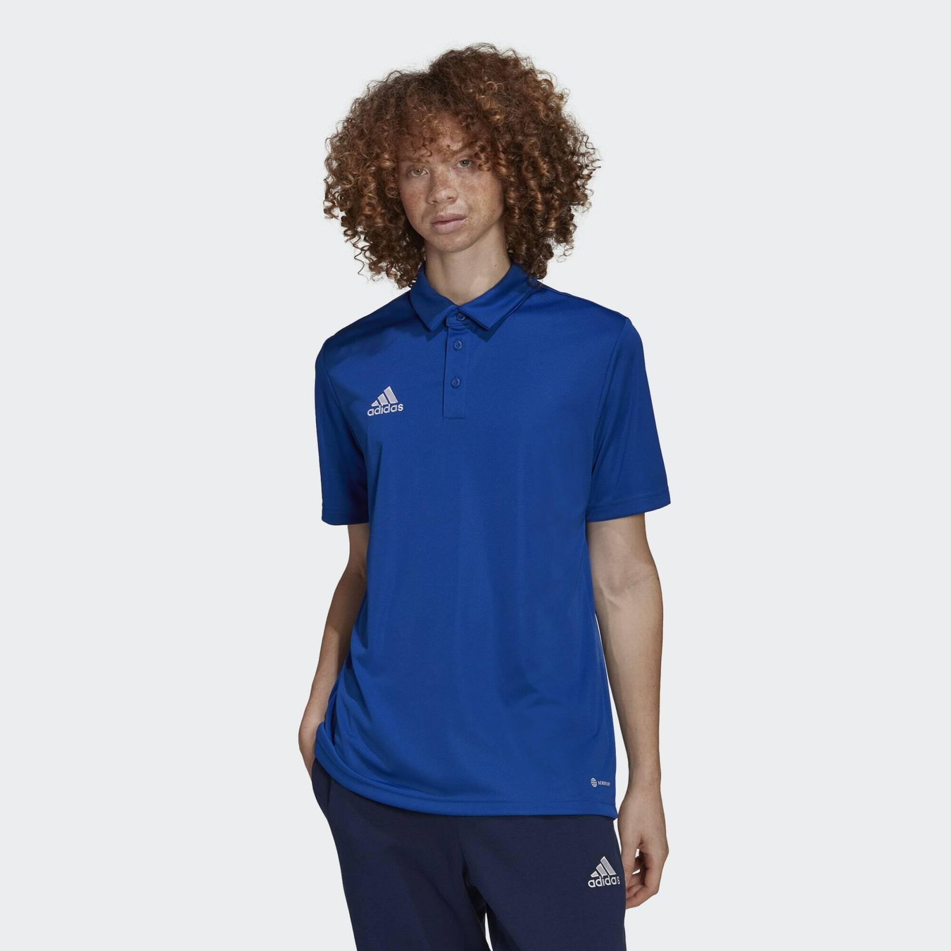 Koszulka treningowa męska adidas Entrada 22 Polo