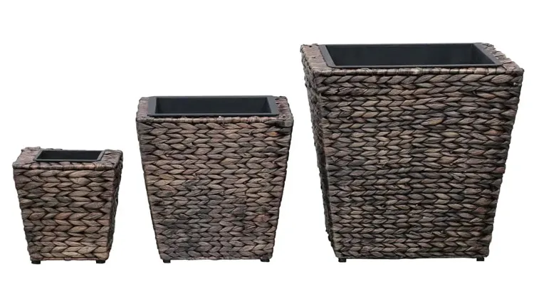 Komplet 3 brązowych donic z hiacyntu wodnego C8-L96