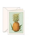 karnet b6 + koperta 5960 ananas