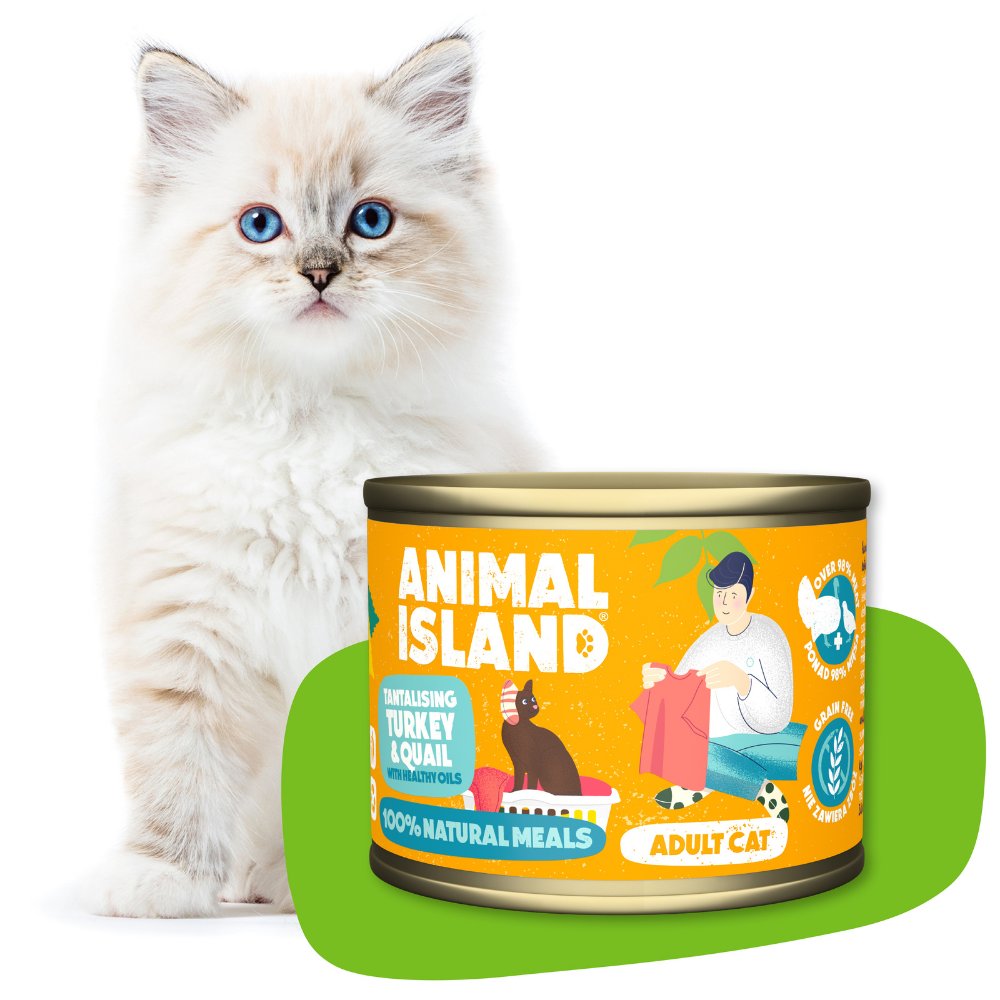 ANIMAL ISLAND Animal Island Mokra Karma Dla Kota Indyk i Przepiórka 200 g