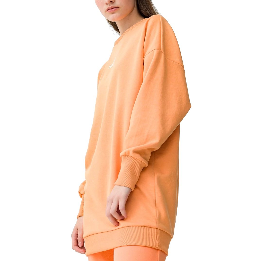 Bluza damska 4F 4FSS23TSWSF251 r.L