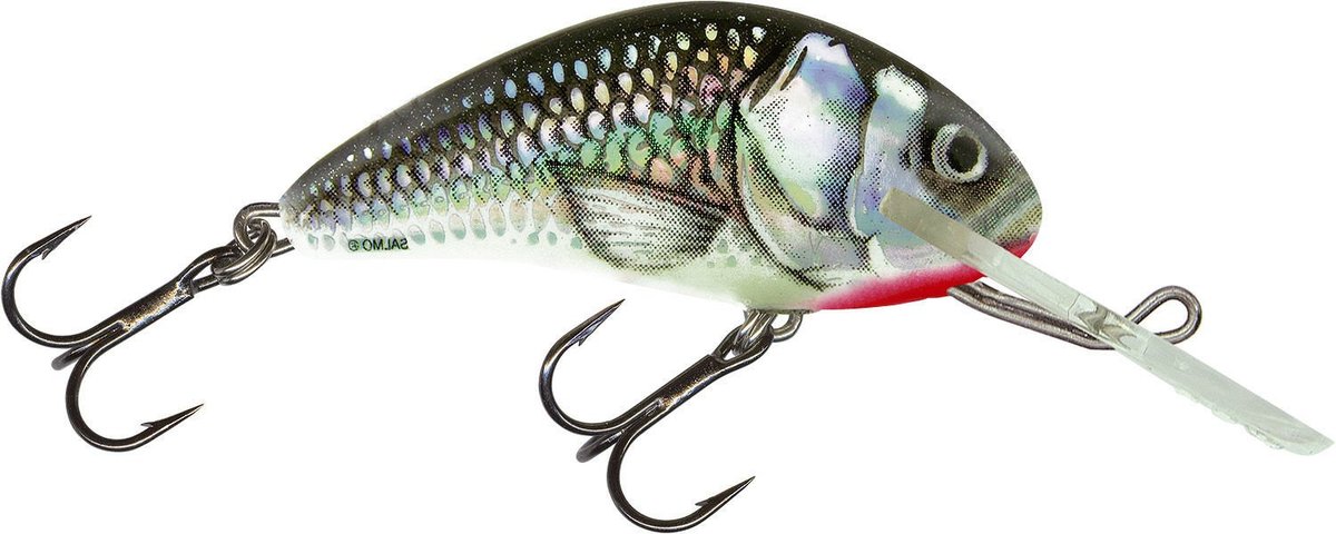 Salmo Wobler Hornet Pływający Hgs 6cm Pstrąg Kleń